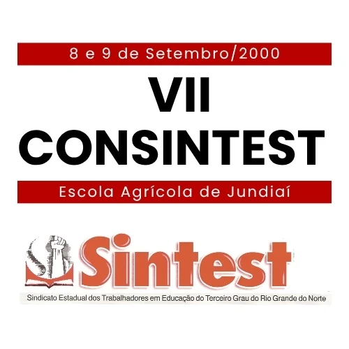 Capa_VII Consintest